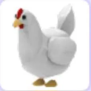 Pet | Chicken