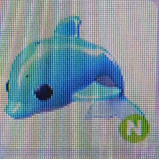 Pet | Neon Dolphin