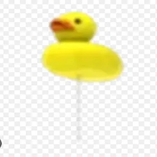 Other | X2 Duck Balloon