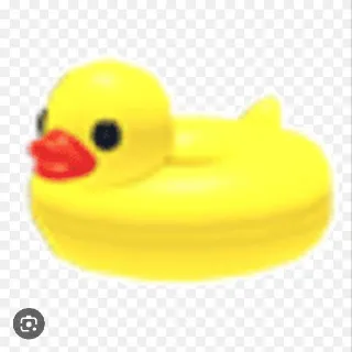 Accessories | Duck Floatie