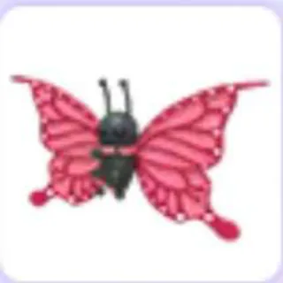Pet | X4 2021 Uplift Butterfly