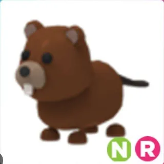 Pet | Neon Beaver