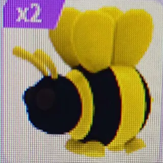 Pet | X2 King Bee