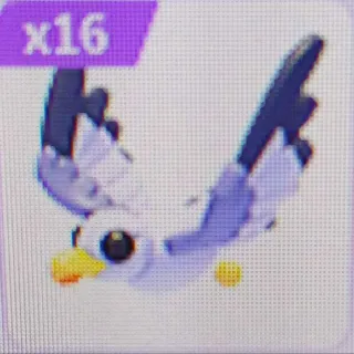 Pet | X16 Seagull