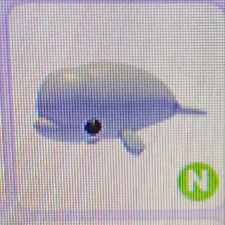 Pet | Neon Beluga Whale