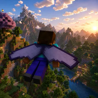 1 DonutSMP Elytra (Fast Delivery)