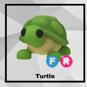 FR TURTLE