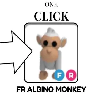 FR ALBINO MONKEY