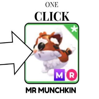 MR MUNCHKIN