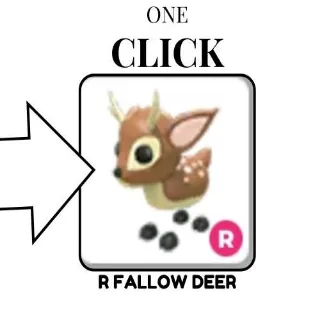 R FALLOW DEER