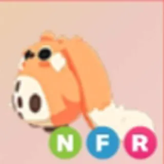 NFR CABBIT
