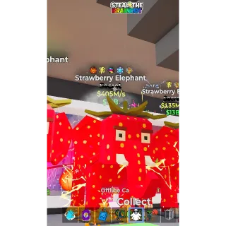 Fortnite 5 traited ele 