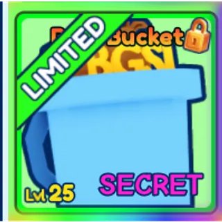 Secret BGSI Bucket