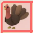 ADOPT ME | NP TURKEY