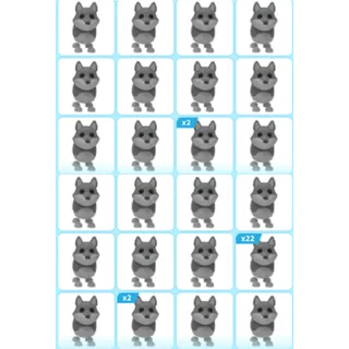 ADOPT ME | 47X NP WOLF