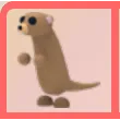 ADOPT ME | NP MEERKAT