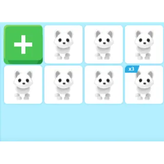 ARCTIC FOX & POLAR BEAR