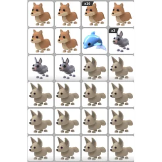 ADOPT ME PET BUNDLE #21