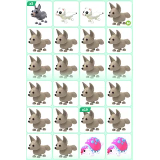 ADOPT ME PET BUNDLE #20