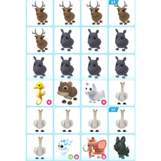 ADOPT ME | RARE PET BUNDLE #3