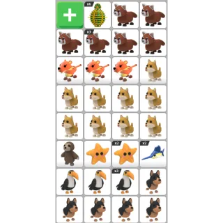 INSTANT DELIVERY - ADOPT ME PET BUNDLE #2