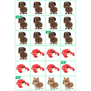 ADOPT ME PET BUNDLE #18