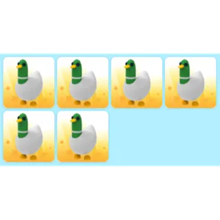 ADOPT ME | 6X SILLY DUCK