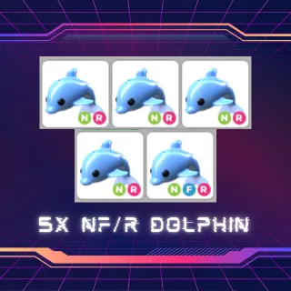 5X NF/R DOLPHIN