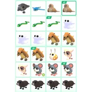 ADOPT ME PET BUNDLE #31