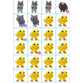 ADOPT ME | COMMON PET BUNDLE #1