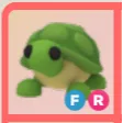 ADOPT ME | FR TURTLE