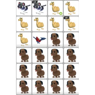 ADOPT ME PET BUNDLE #19