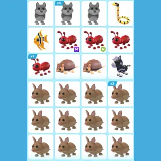 ADOPT ME PET BUNDLE #35