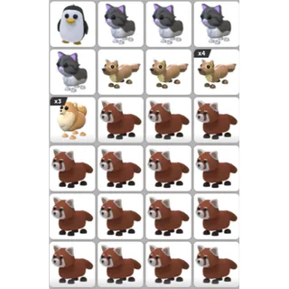ADOPT ME PET BUNDLE #4