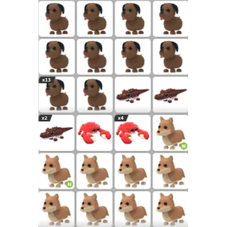 ADOPT ME PET BUNDLE #20