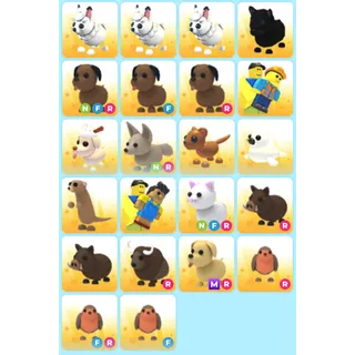 ADOPT ME | UNCOMMON BUNDLE