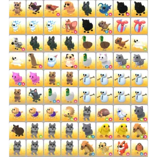 INSTANT DELIVERY - ADOPT ME LIMITED PET BUNDLE #10