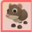 ADOPT ME | NP SHREW