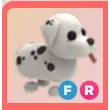 ADOPT ME | FR DALMATIAN