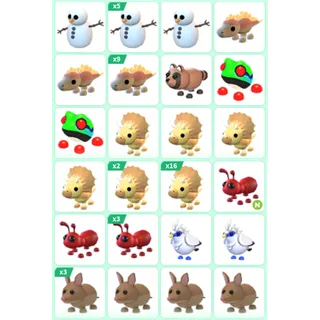 ADOPT ME PET BUNDLE #25