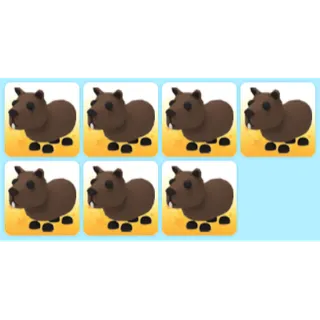 ADOPT ME | 7X CAPYBARA