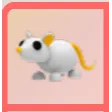ADOPT ME | NP GOLDEN RAT