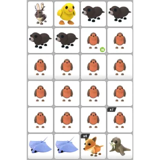 INSTANT DELIVERY - ADOPT ME PET BUNDLE #19