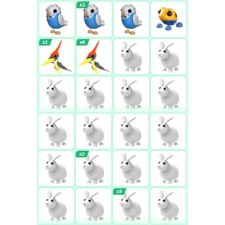 ADOPT ME PET BUNDLE #13