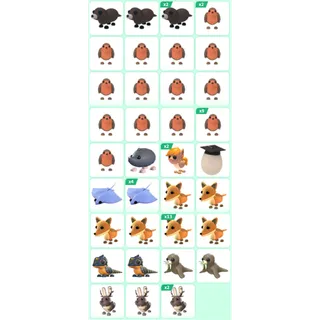 ADOPT ME PET BUNDLE #32