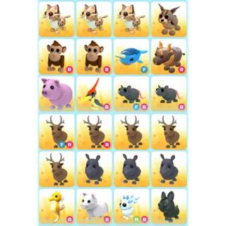 ADOPT ME | RARE PET BUNDLE #2