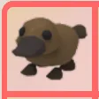 ADOPT ME | NP PLATYPUS