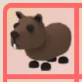 ADOPT ME | NP CAPYBARA