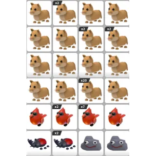 ADOPT ME PET BUNDLE #24
