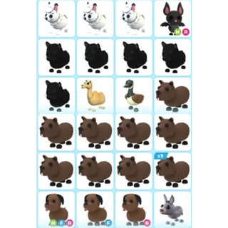 ADOPT ME | UNCOMMMON PET BUNDLE #1